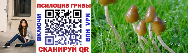 Галлюциногенные грибы прущие грибы  купить закладку  Саров 